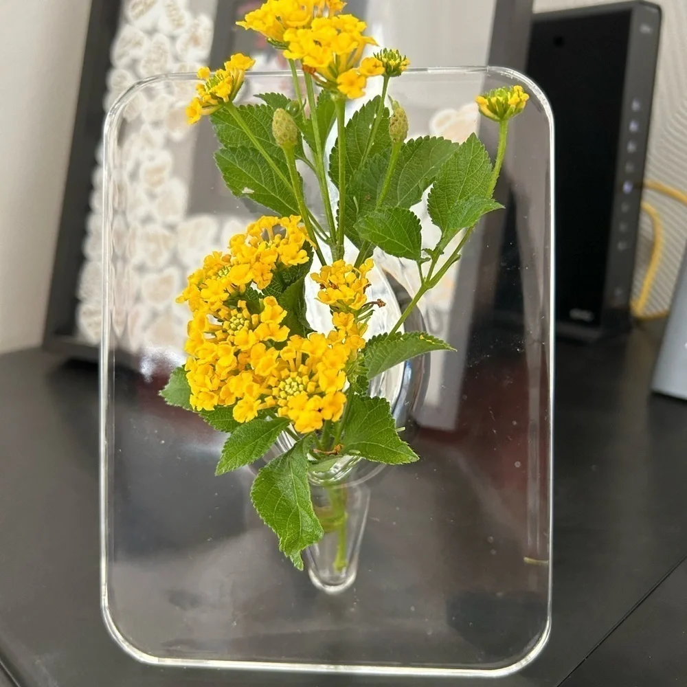 Contemporary Acrylic Vase: Rectangular Shape, Transparent Design / BRAND NEW